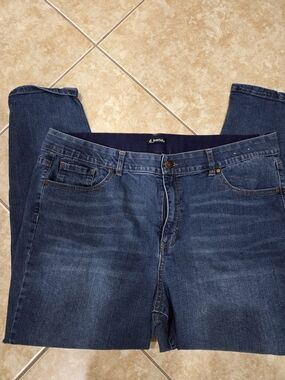 d.jeans Dark Wash Denim Skinny Jeans 22W